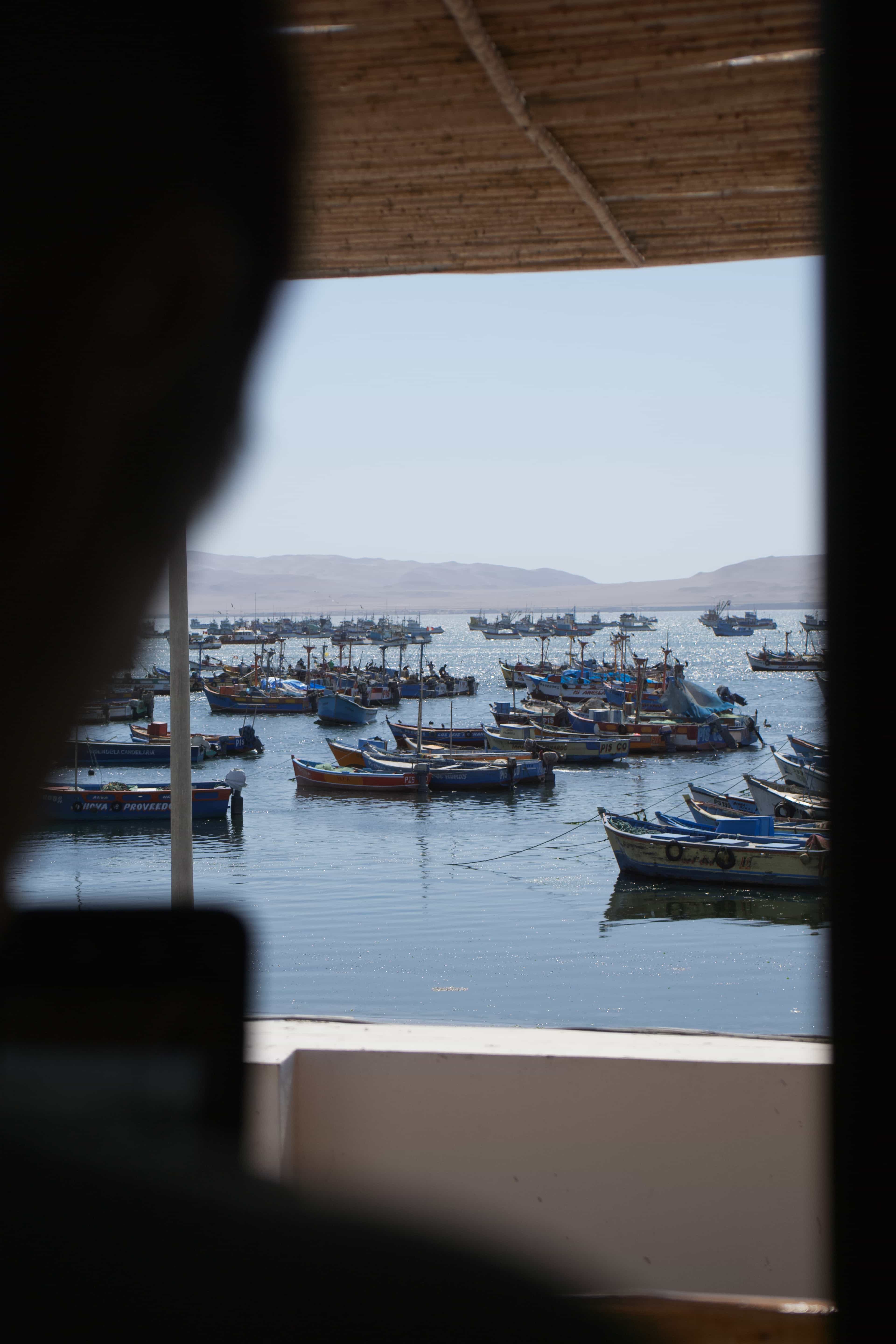 view of boats