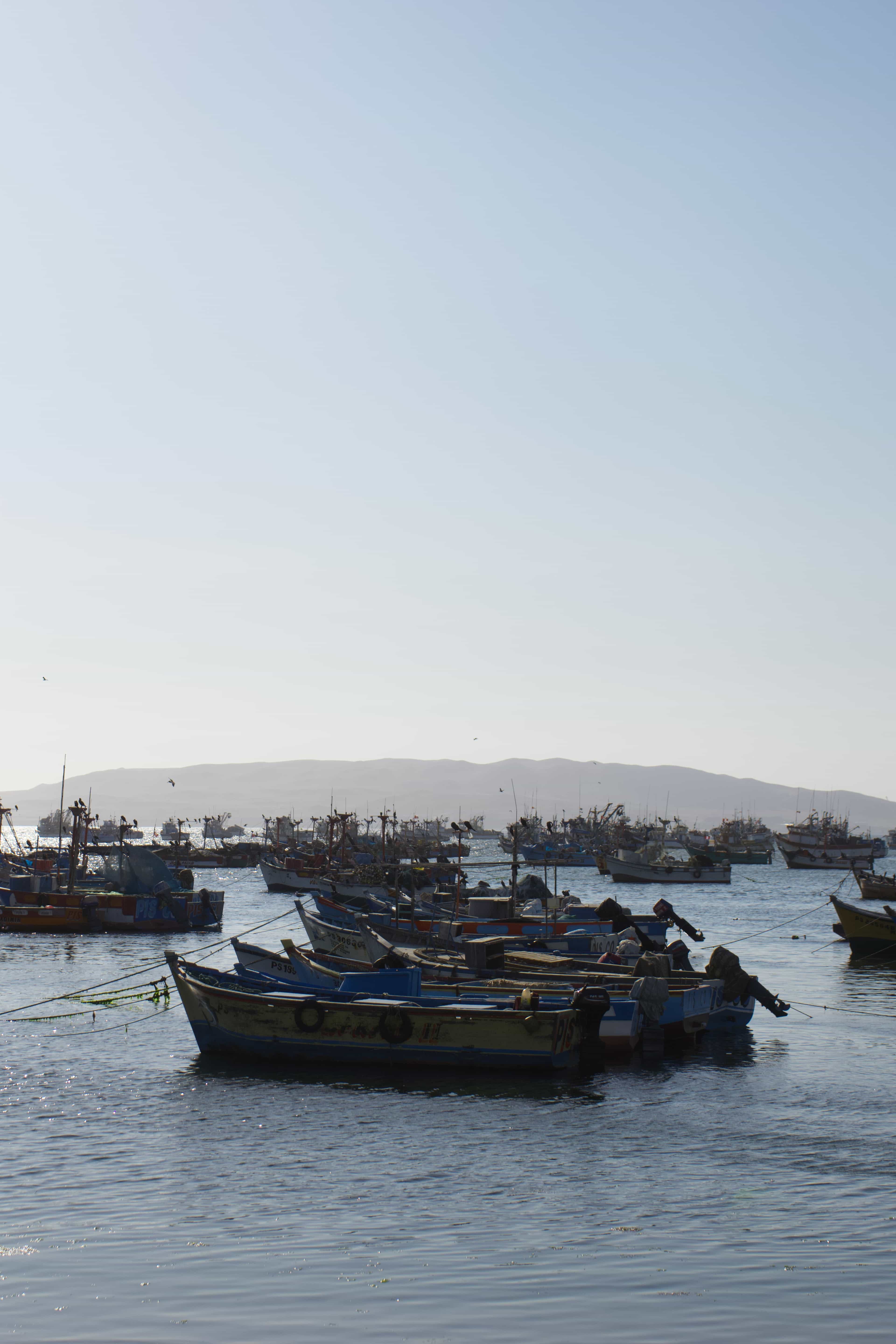 fishing boats